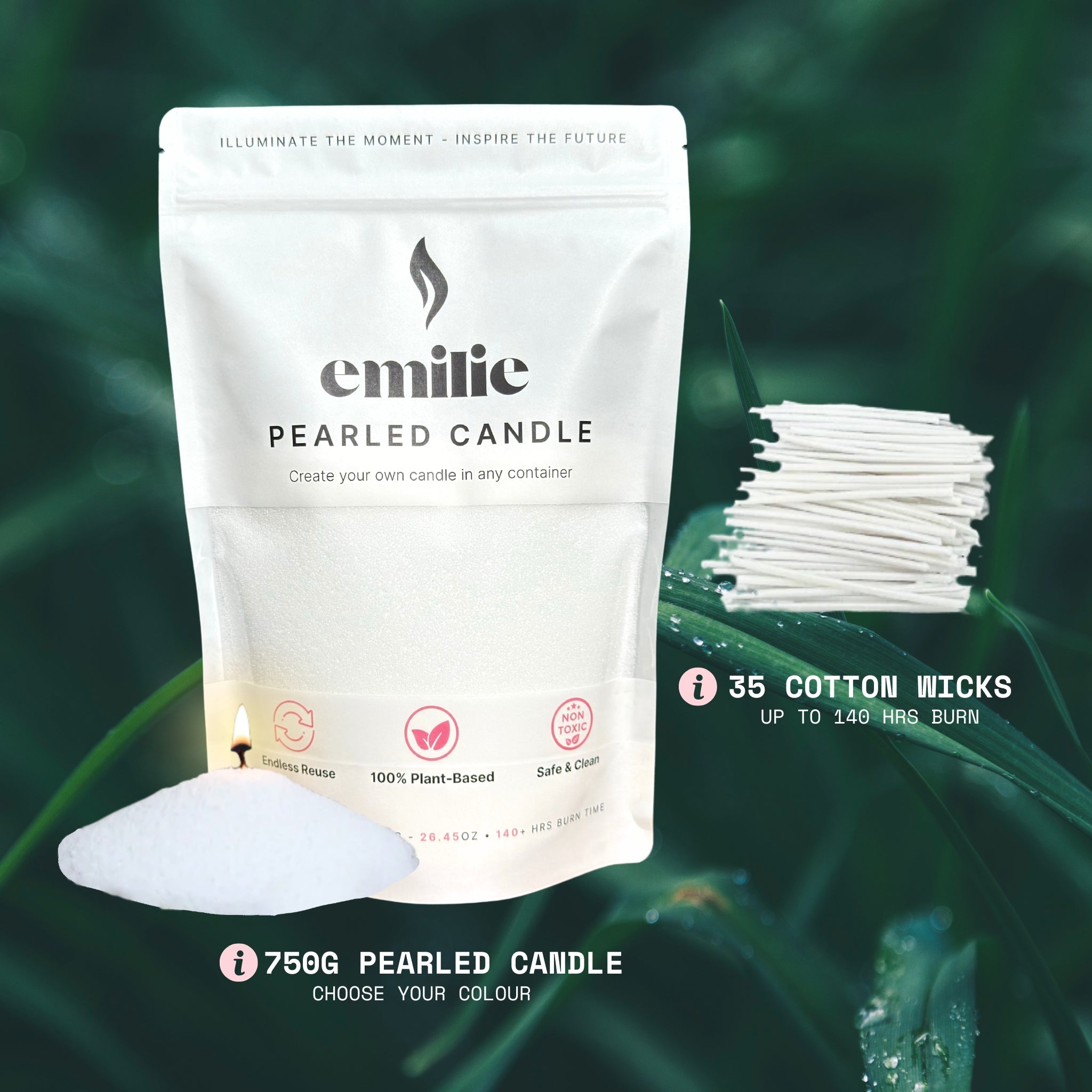 Refresh & Focus Collection