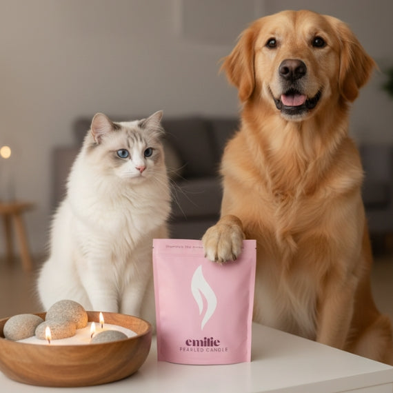 Cat and dog sitting next to a pink product with 'emilie' branding in a home setting.